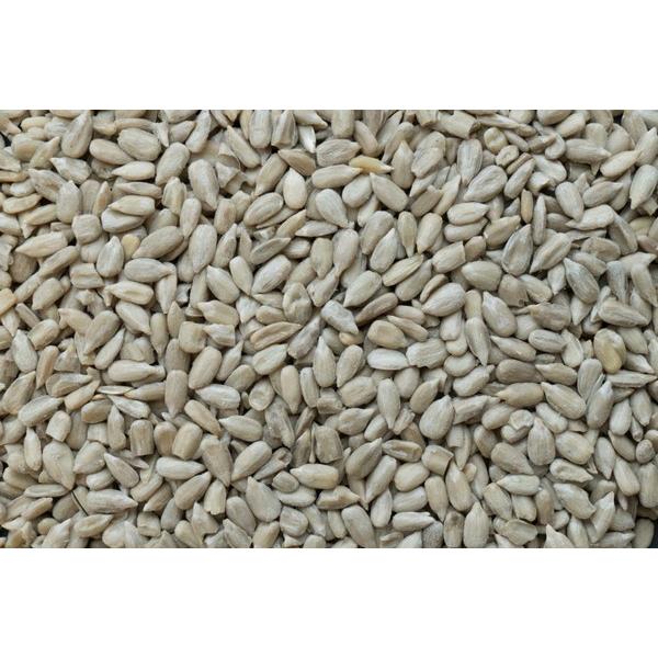 GRAINES DE TOURNESOL (KG) VRAC BF