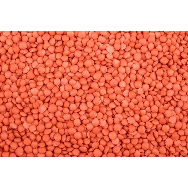 LENTILLES CORAIL ROUGE (KG) VRAC BF