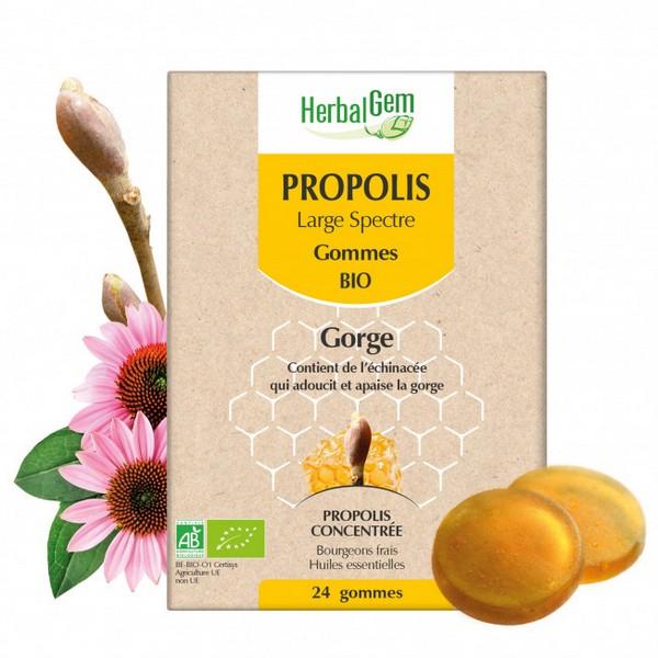 HERBALGEM PROPOLIS LARGE SPECTRE ECHINACEA & CITRON 24X GOMMES PR