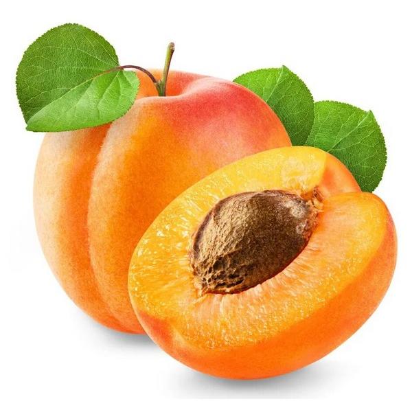 ABRICOT FRAIS (KG) IT
