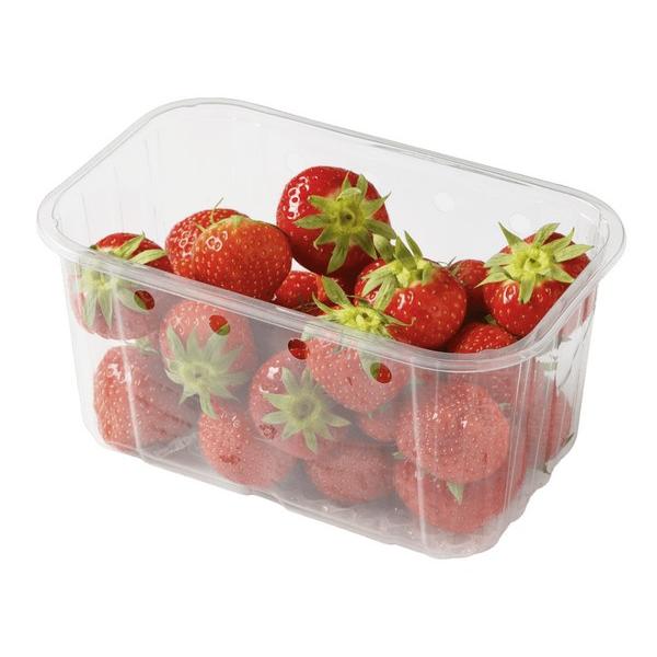 FRAISE FRAIS 250GR (PCE) BE