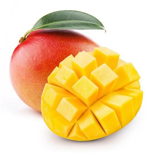 MANGUE FRAIS (PCE) PE