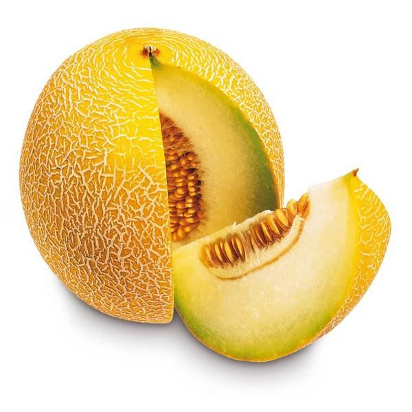 MELON GALIA FRAIS (PCE) ES
