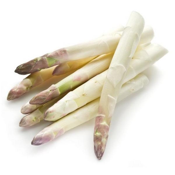 ASPERGE BLANCHE 500GR (PCE) NL
