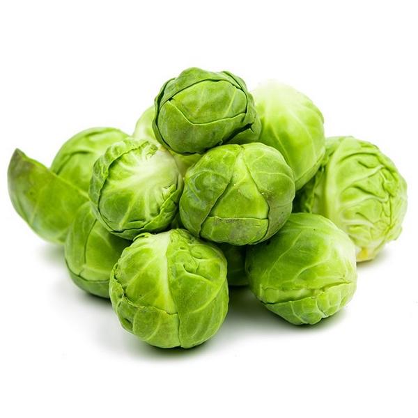 CHOU DE BRUXELLES (KG) NL