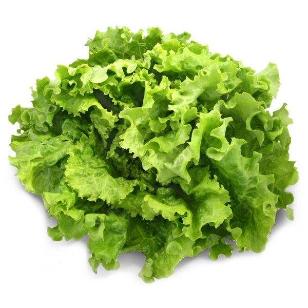 SALADE SCAROLE (PCE) FR