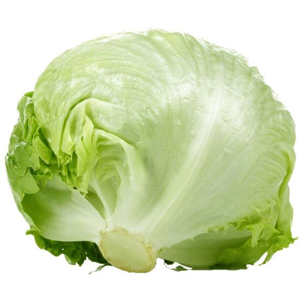 SALADE ICEBERG (PCE) ES
