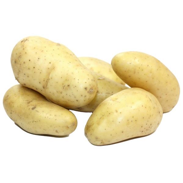 POMME DE TERRE NOUVELLE RECOLTE FARINEUSE (KG) BE