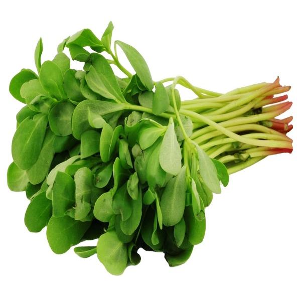 POURPIER D'HIVER (PCE) BE