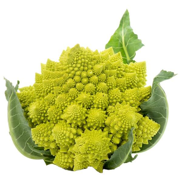 ROMANESCO (PCE) FR