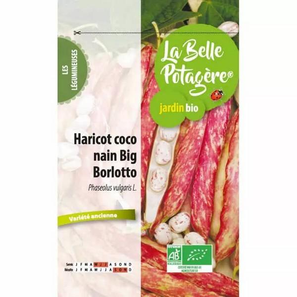 LA BELLE POTAGERE HARICOT COCO NAIN BIG BORLOTTO 50GR ED
