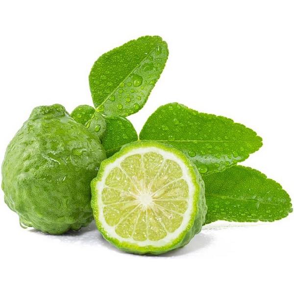 BERGAMOTE FRAIS (KG) ES