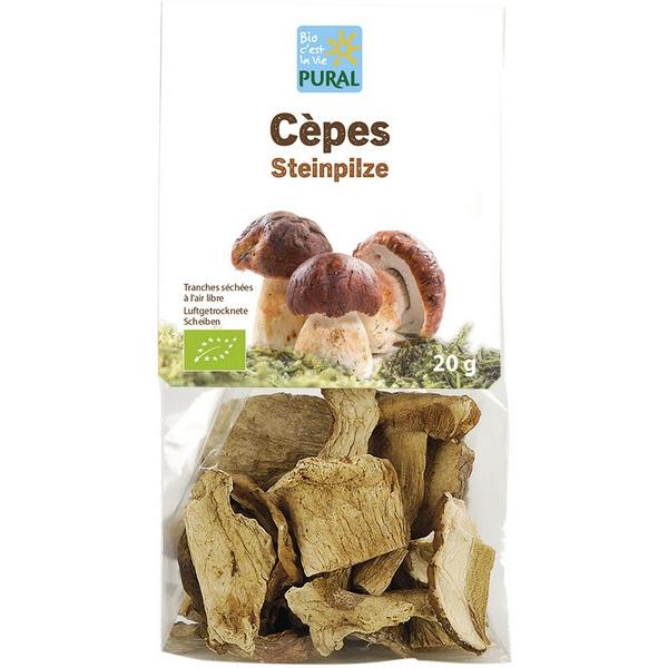 PURAL CEPES SECHEES 10GR MR6